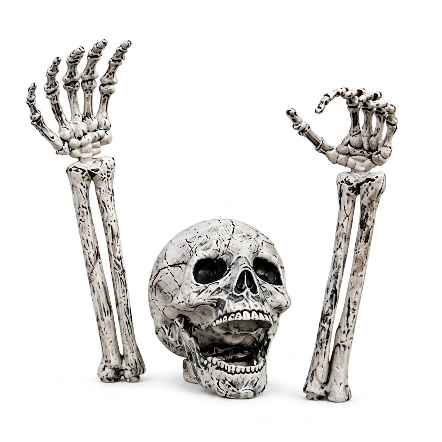 Realistische skeletgrondpennen voor dames voor Halloweenversiering van gazon en tuin
