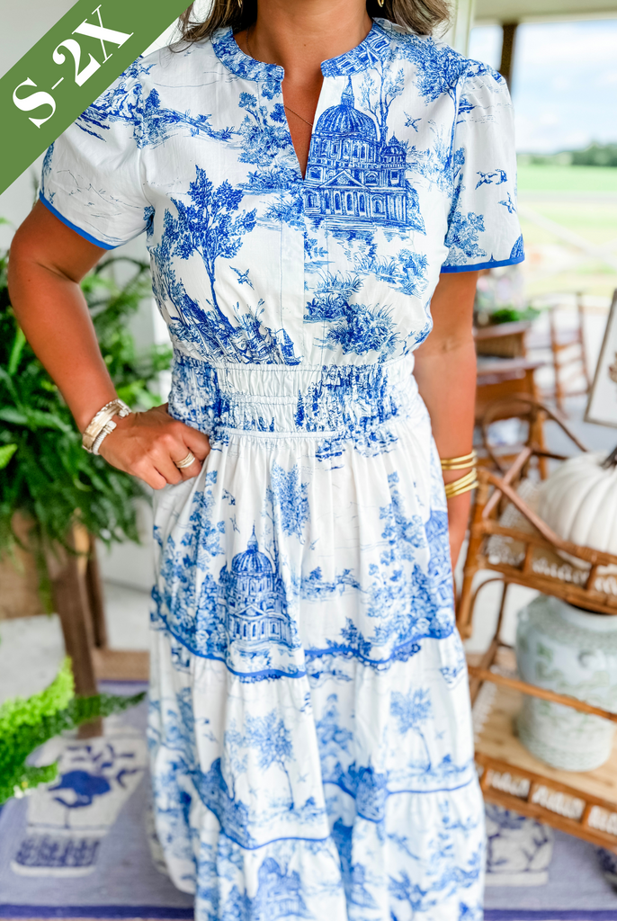 Nova | Women's Toile Print Maxi Dress-Metro Lane Plaza