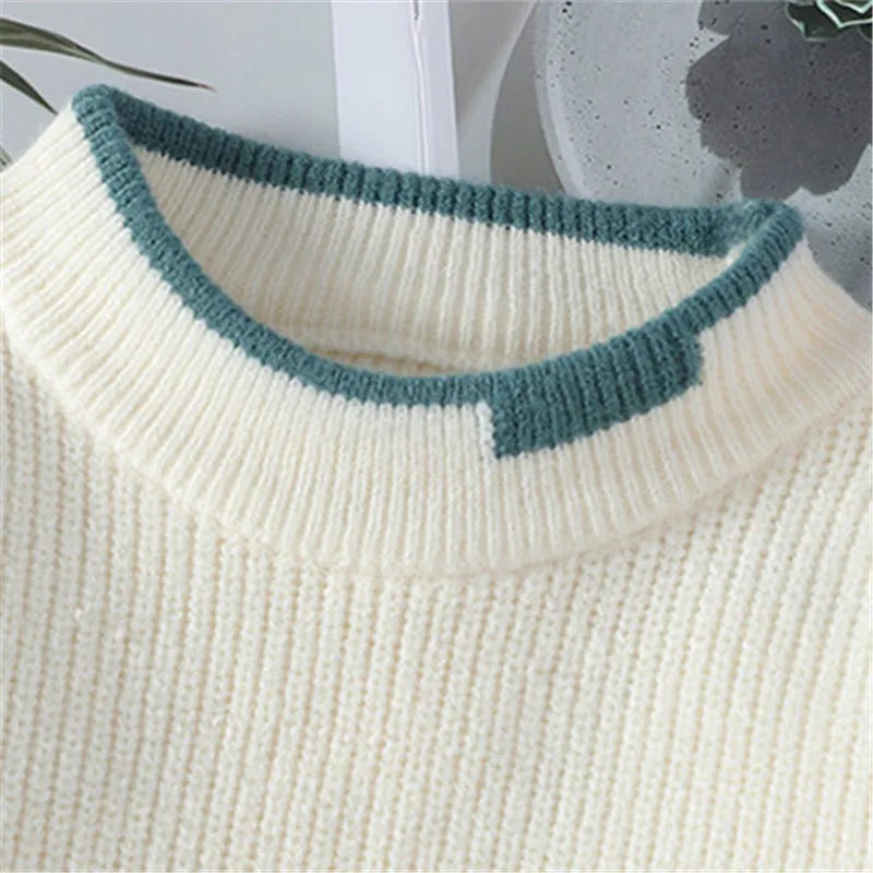 Men's Cozy Knit Sweater