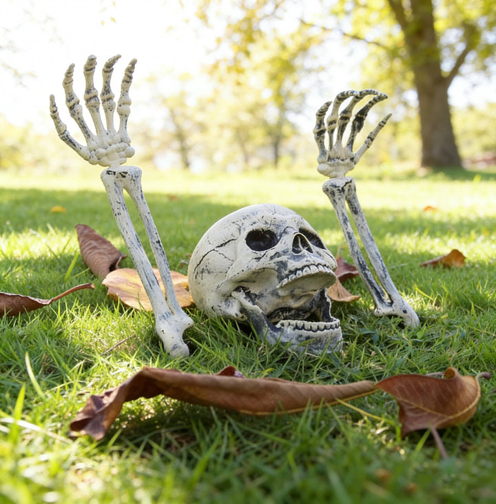 Realistische skeletgrondpennen voor dames voor Halloweenversiering van gazon en tuin