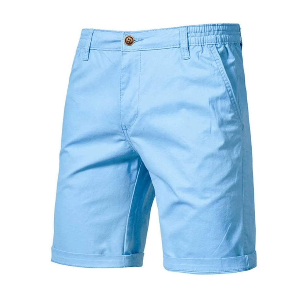 Gregory | Men's Casual Flat Front Shorts-Metro Lane Plaza