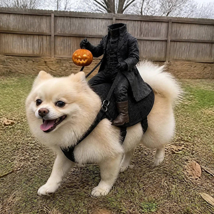 Disfraz de mascota del Jinete sin cabeza para gatos y perros, diversión de Halloween