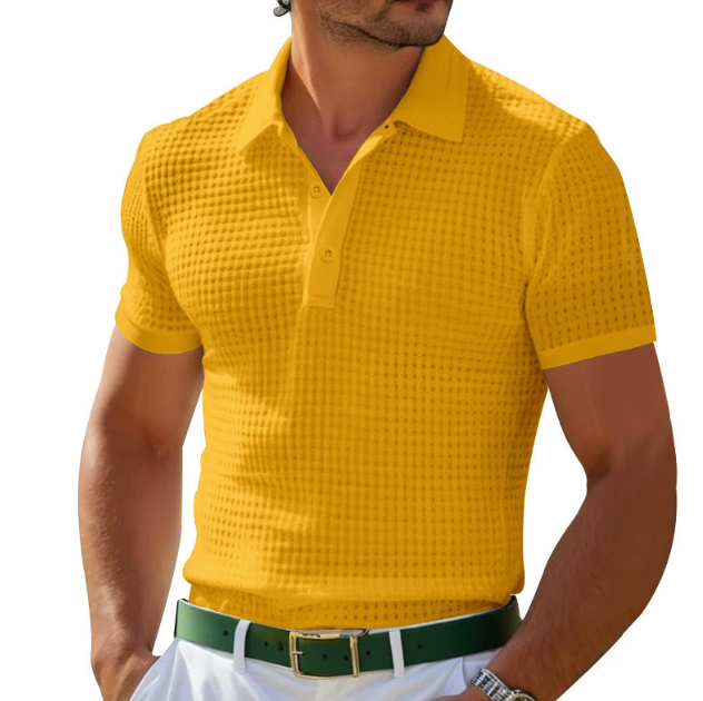 Lewis | Men's Textured Regular Fit Polo Top-Metro Lane Plaza