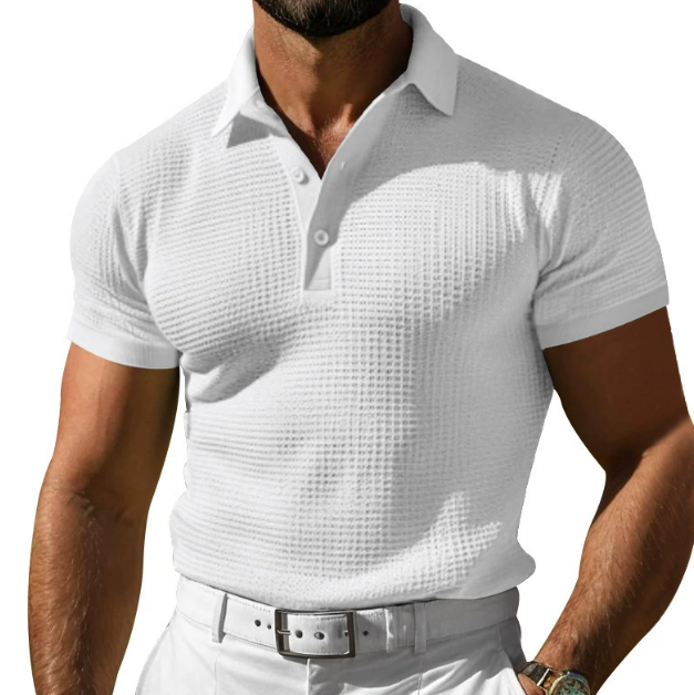 Lewis | Men's Textured Regular Fit Polo Top-Metro Lane Plaza