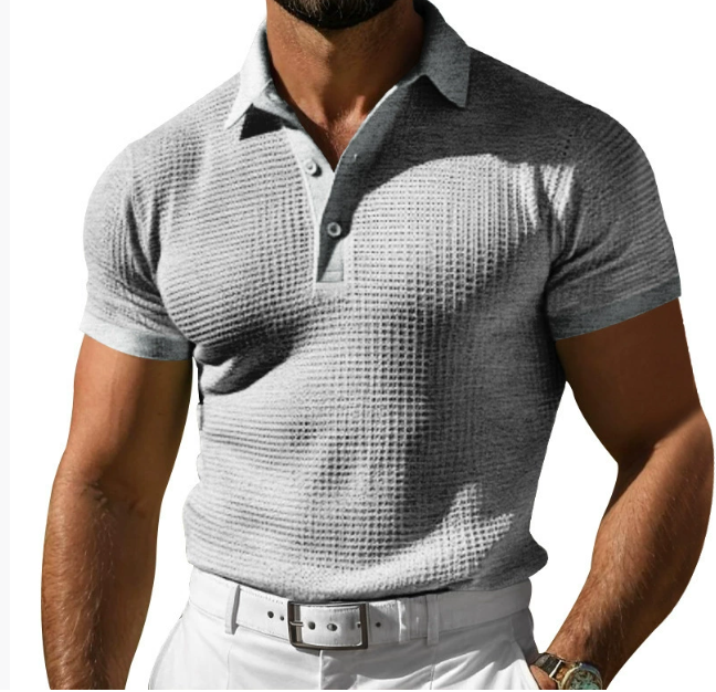Lewis | Men's Textured Regular Fit Polo Top-Metro Lane Plaza