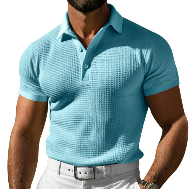 Lewis | Men's Textured Regular Fit Polo Top-Metro Lane Plaza